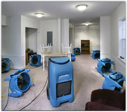 Basement Flood Cleanup in Lakemoor, IL
