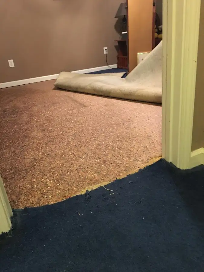 Carpet pad removal revealing water damage during Drying & Dehumidification in Lakemoor