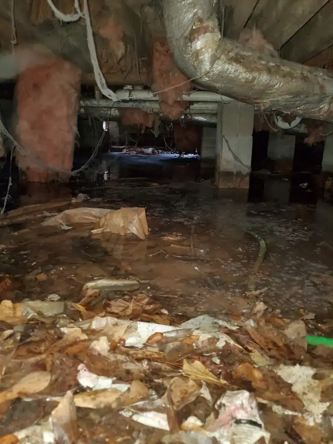 Crawl space flood assessment for Leak Detection & Repair in Lakemoor