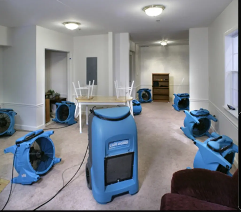 Air movers and dehumidifier setup for Water Extraction & Removal in Lakemoor