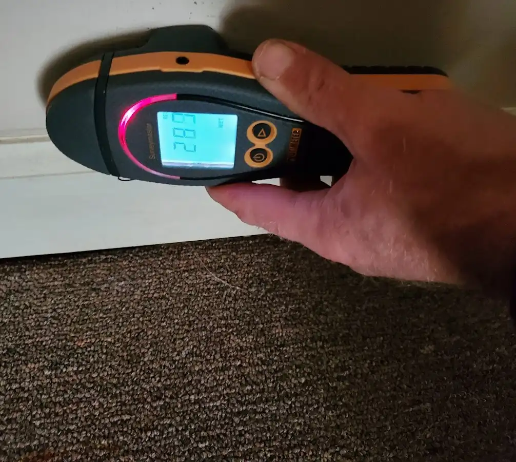 Moisture detection at baseboard during Mold Inspection & Testing in Lakemoor